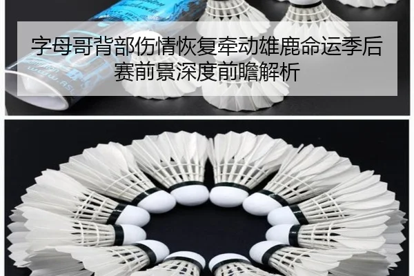 字母哥背部伤情恢复牵动雄鹿命运季后赛前景深度前瞻解析