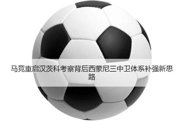 ma-jing-chong-qi-han-ci-ke-kao-cha-bei-hou-xi-meng-ni-san-zhong-wei-ti-xi-bu-qiang-xin-si-lu-2-861.jpg